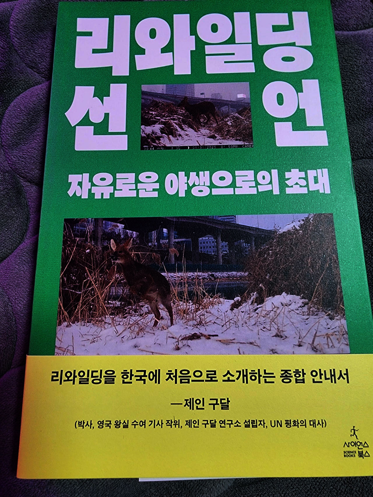 첨부된 사진
