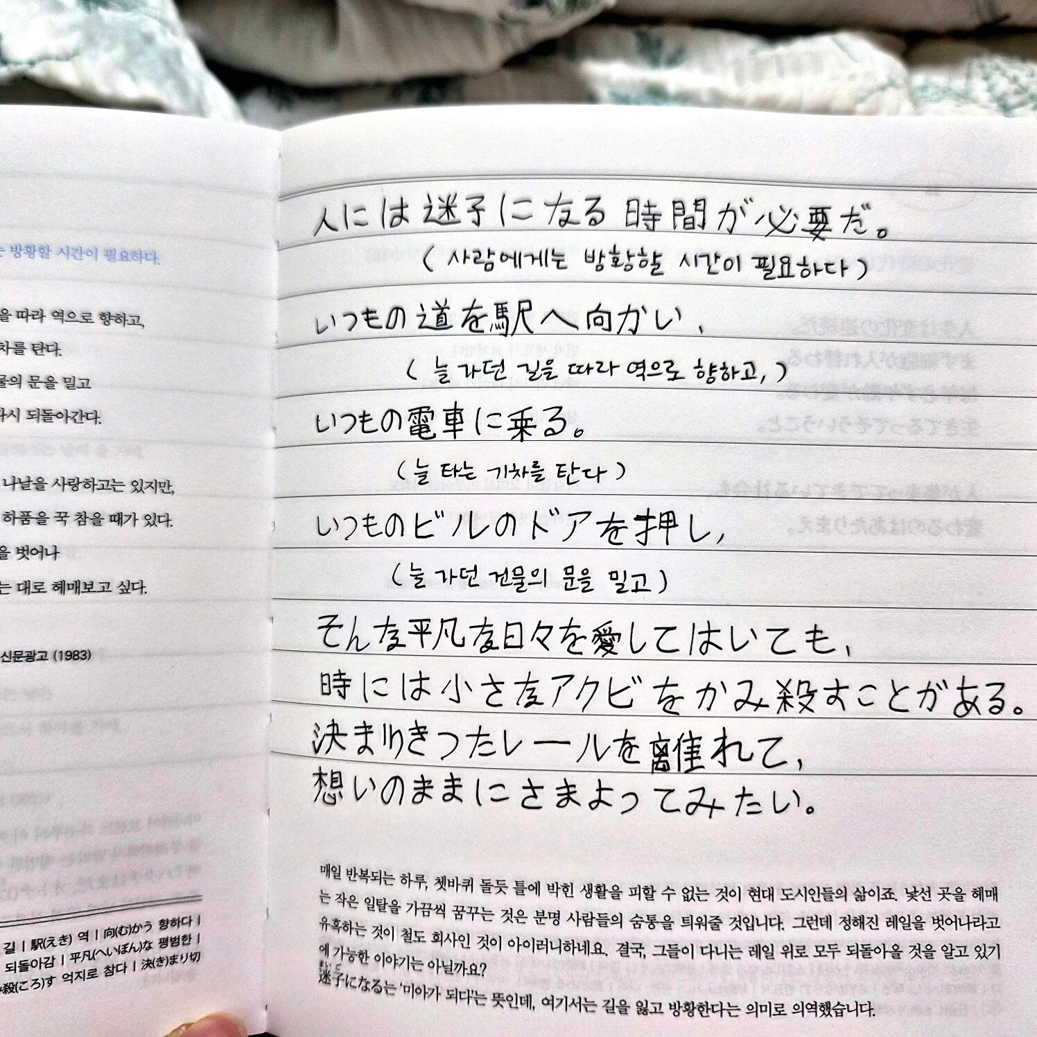 첨부된 사진