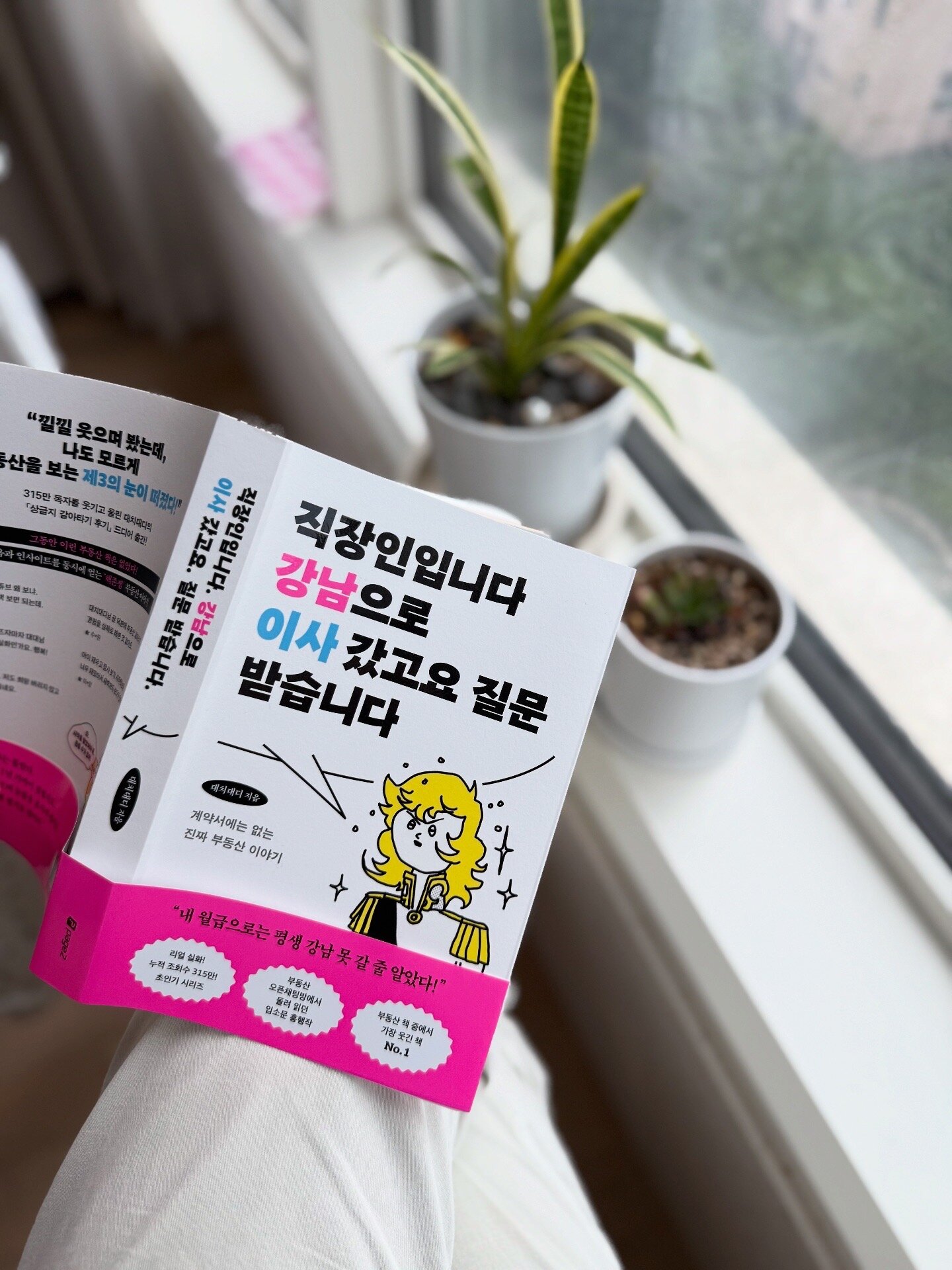 첨부된 사진