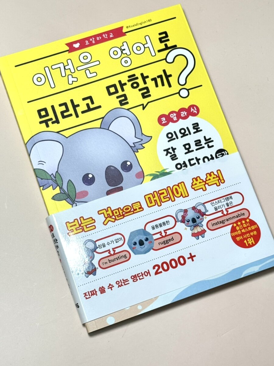 첨부된 사진