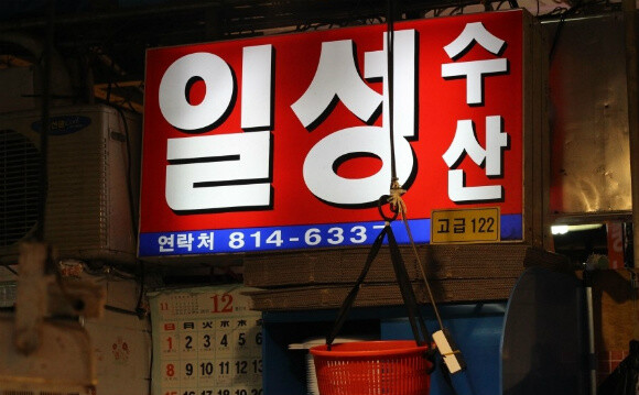 많고 많은 노량진 수산시장 횟집 선택하기~ | Yes24 블로그 - 내 삶의 쉼표