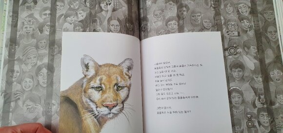 첨부된 사진