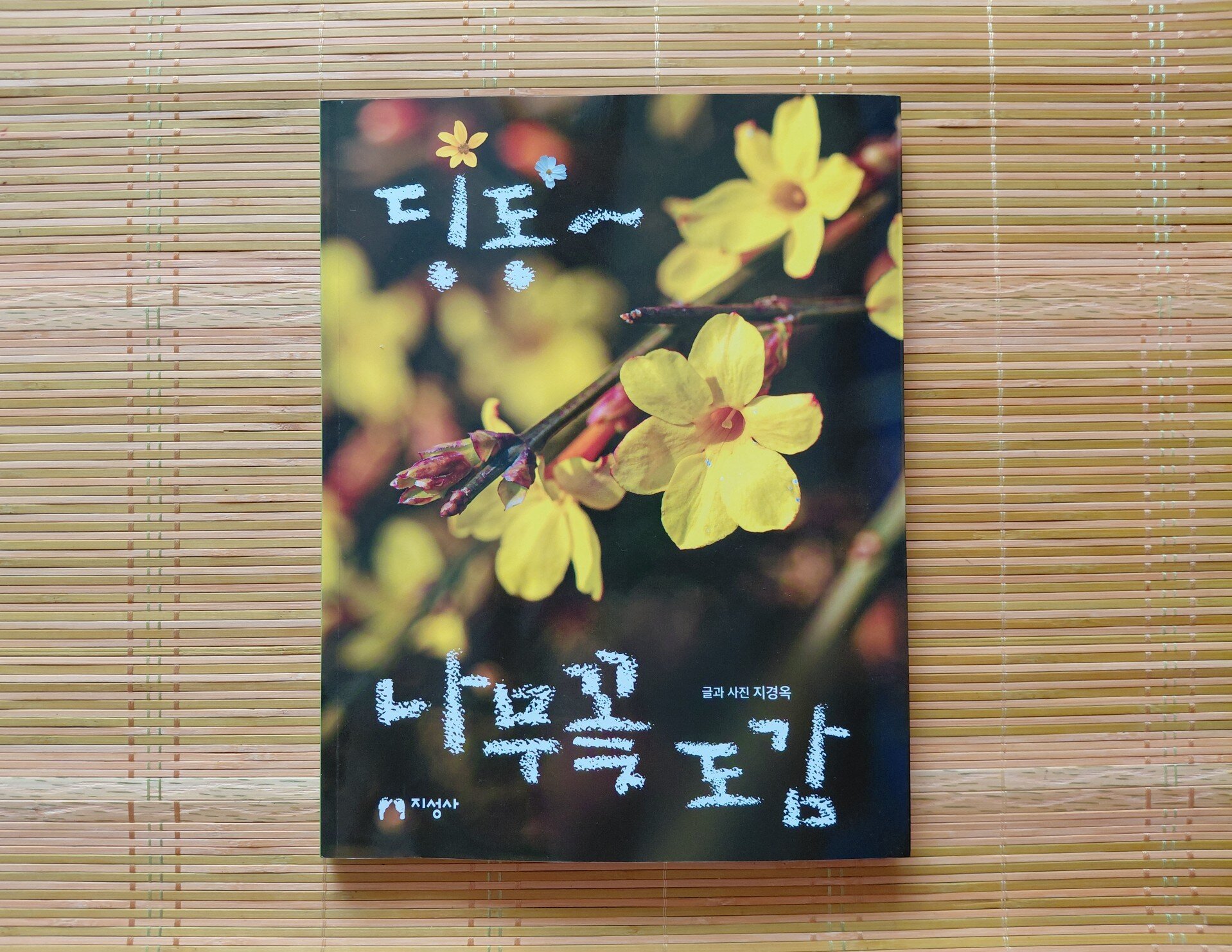첨부된 사진