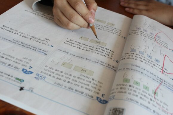 첨부된 사진
