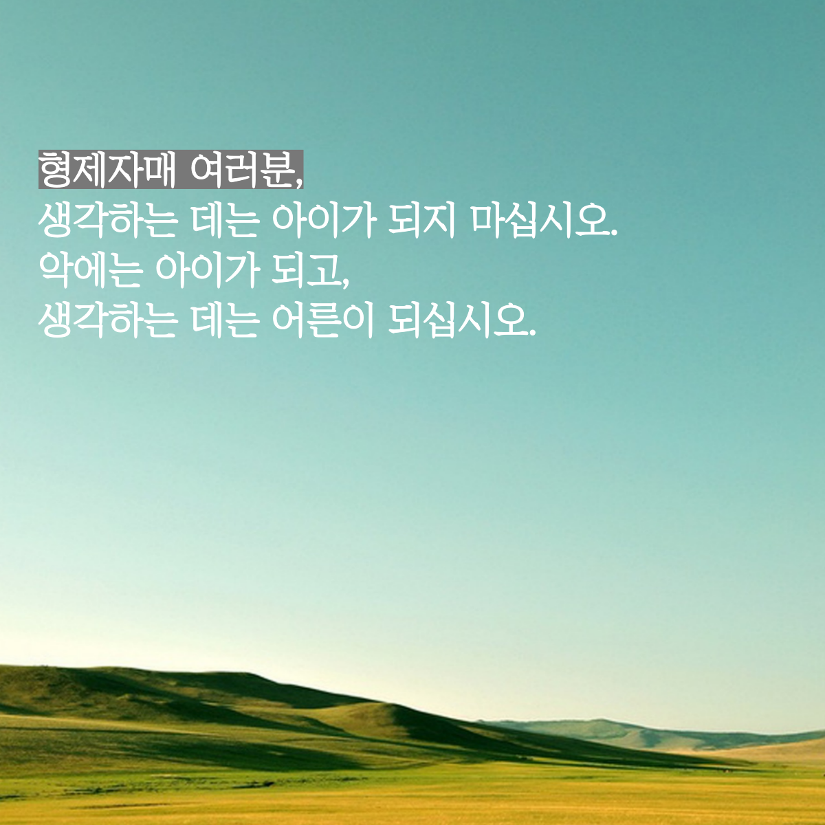 첨부된 사진