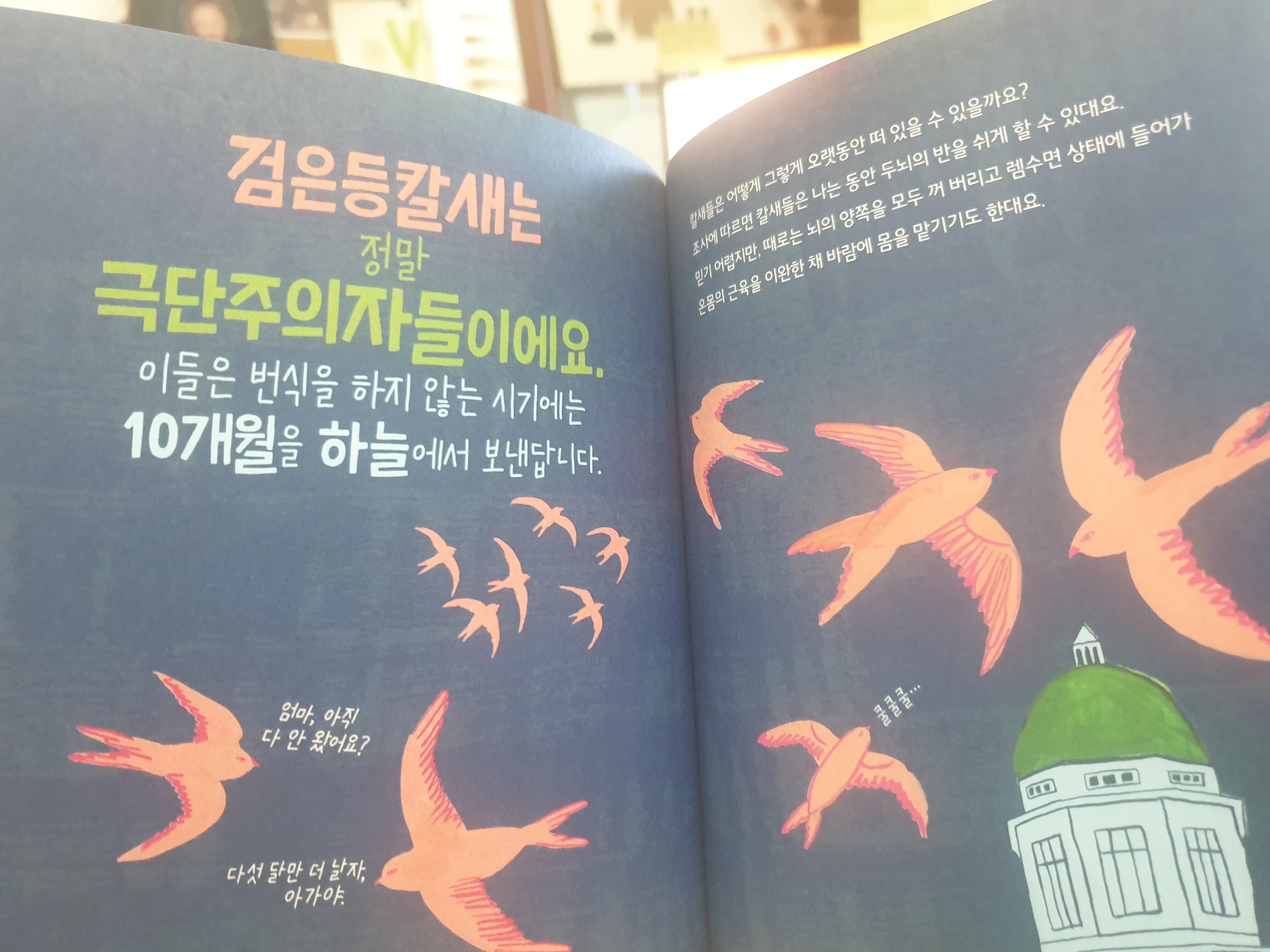 첨부된 사진