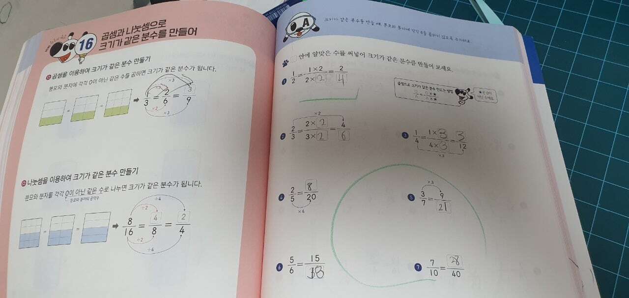 첨부된 사진
