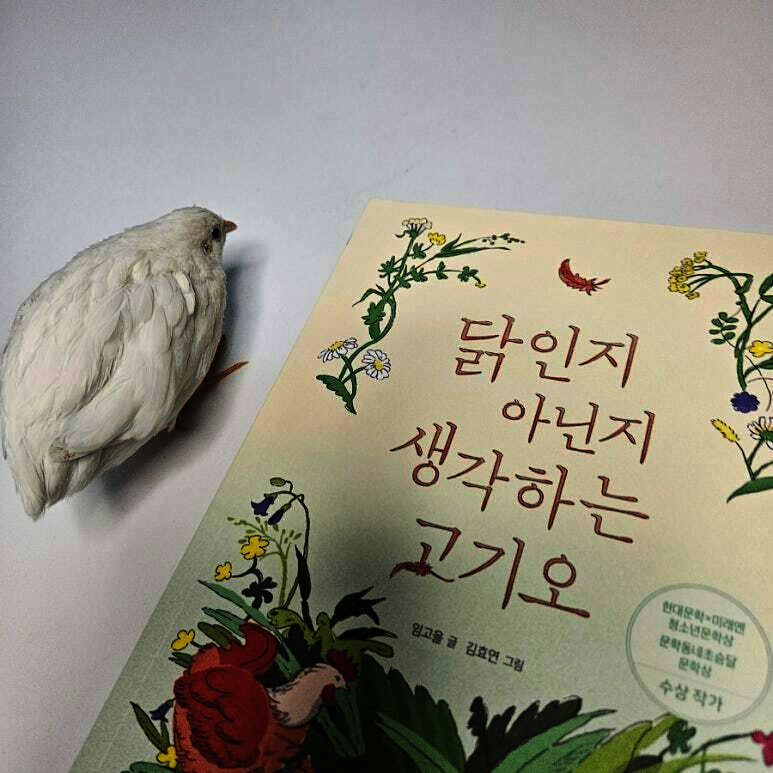 첨부된 사진