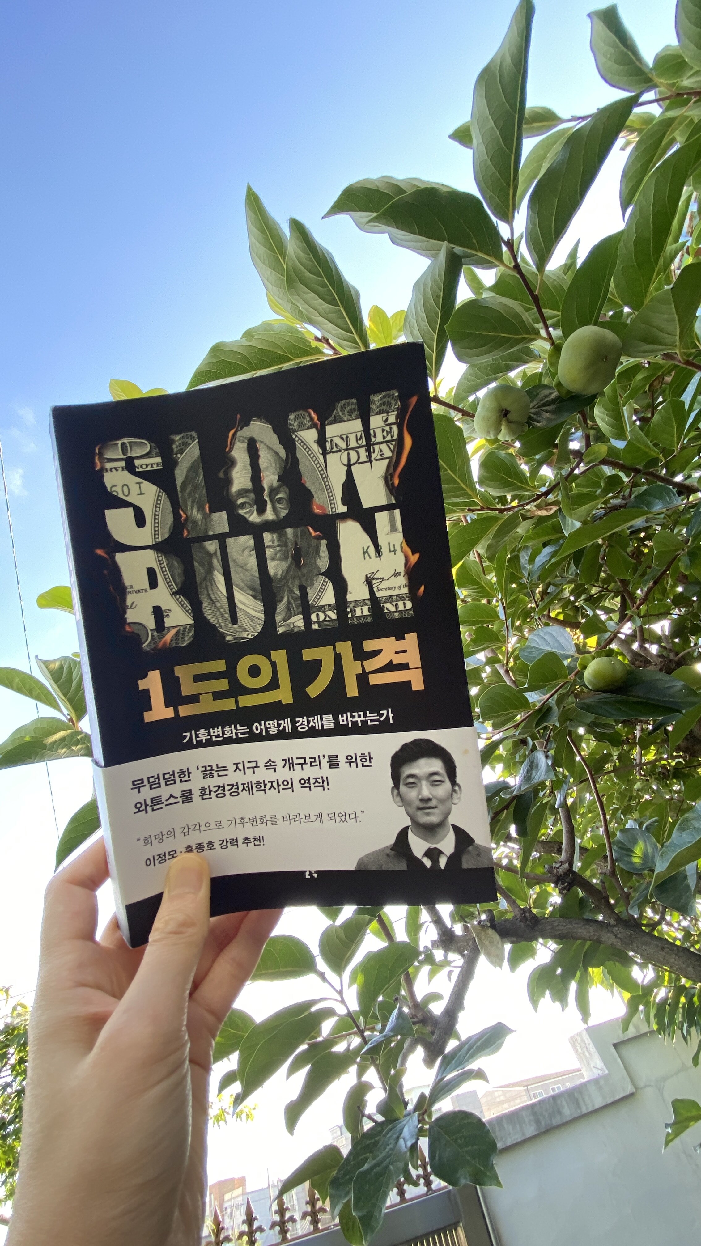첨부된 사진