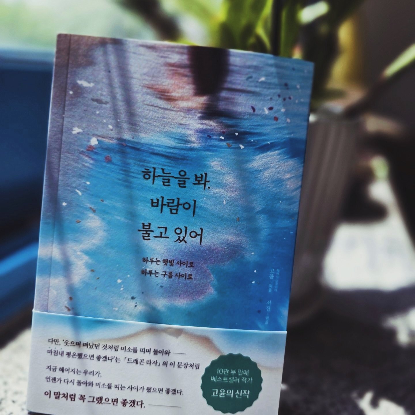 컨텐츠 이미지