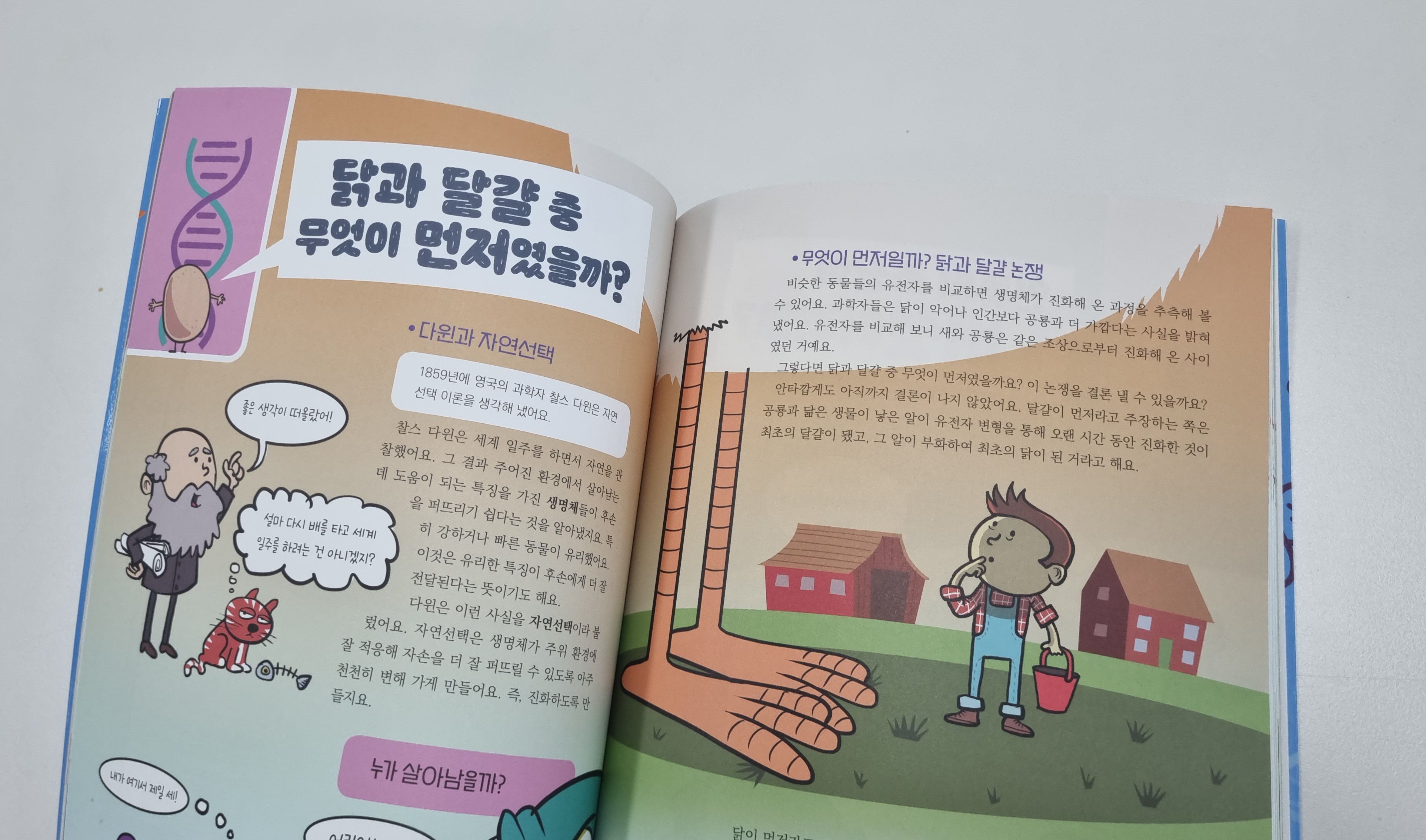 첨부된 사진