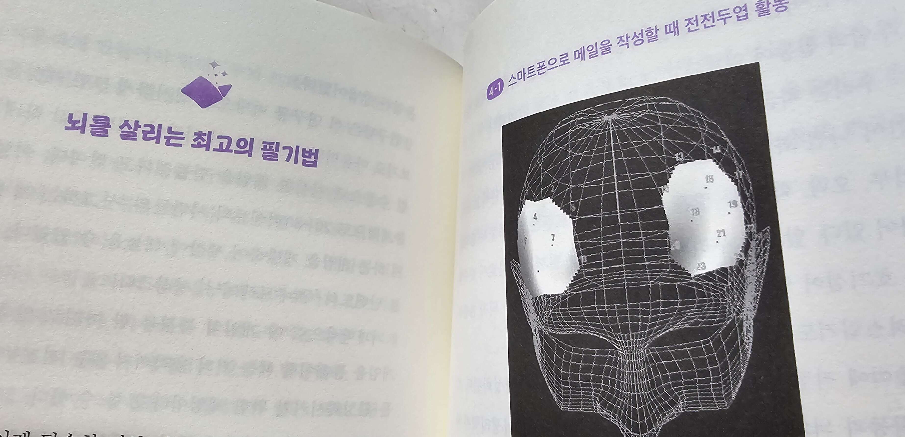 컨텐츠 이미지
