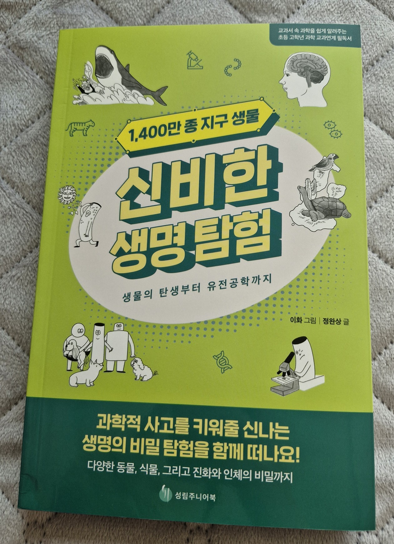 첨부된 사진