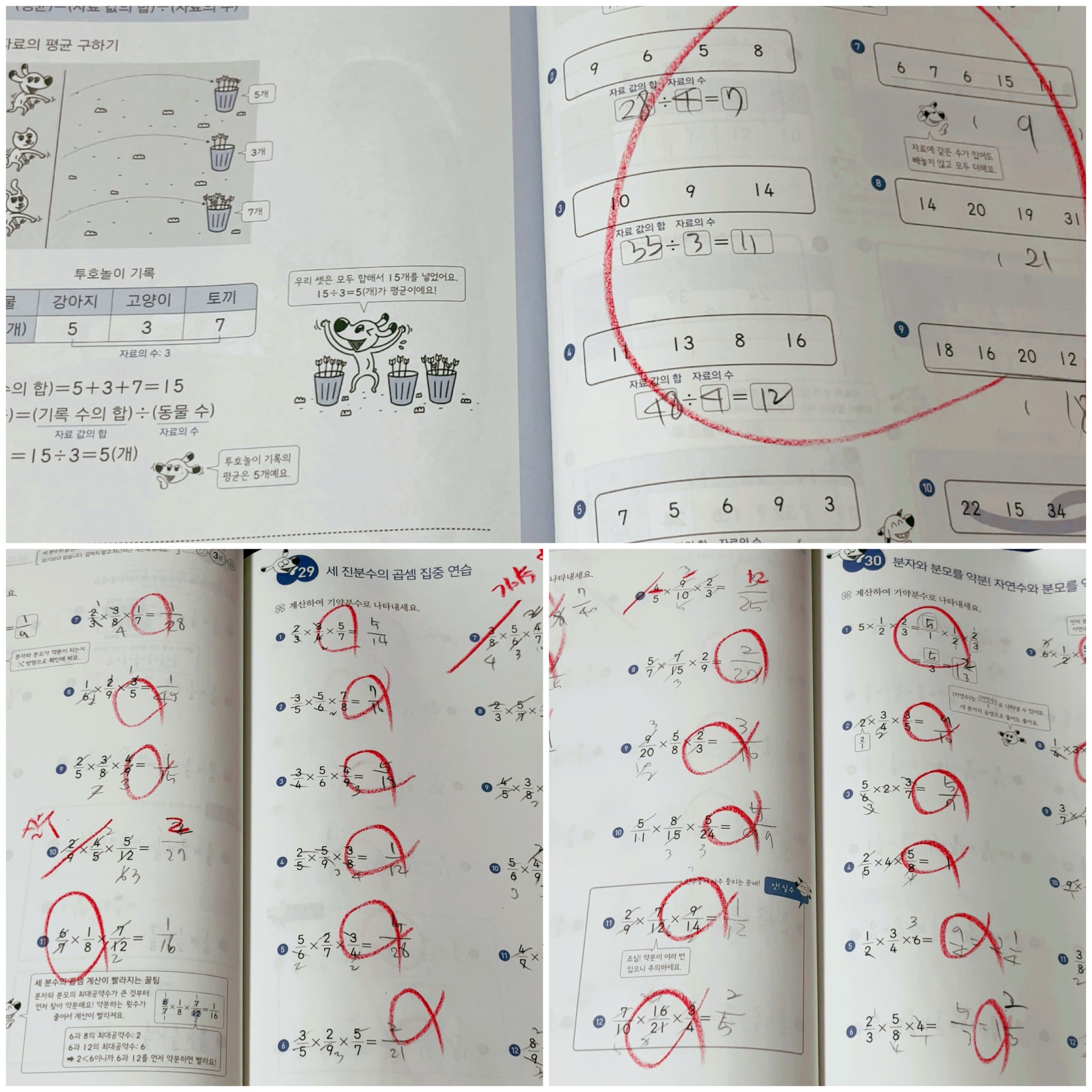 첨부된 사진