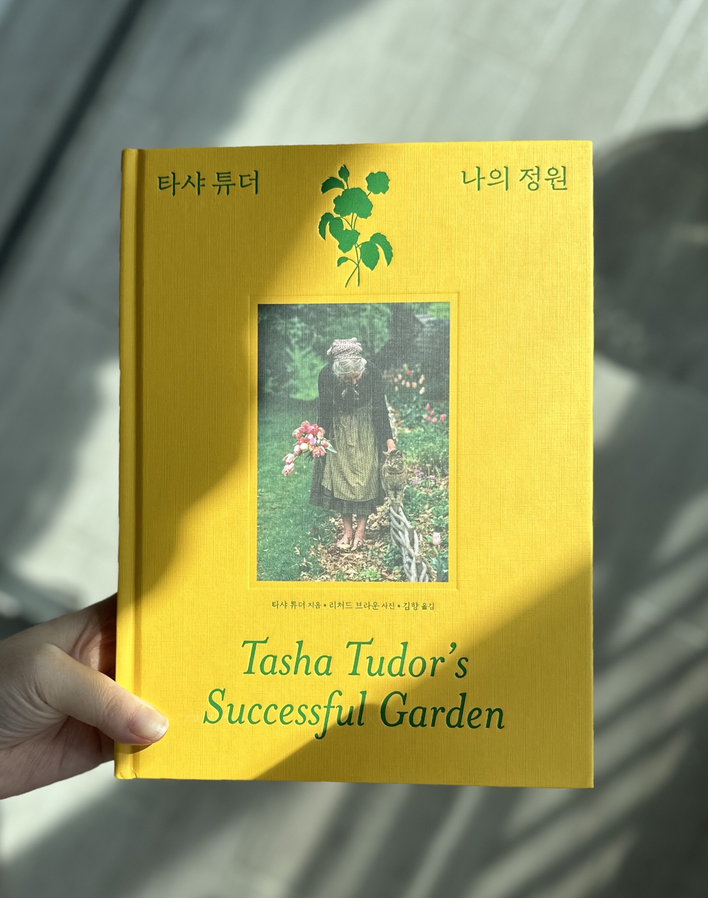 컨텐츠 이미지