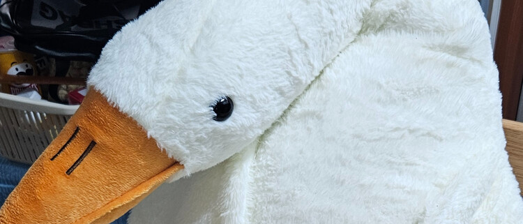 대표사진