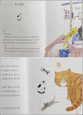 첨부된 사진