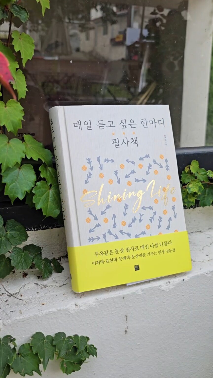 첨부된 사진