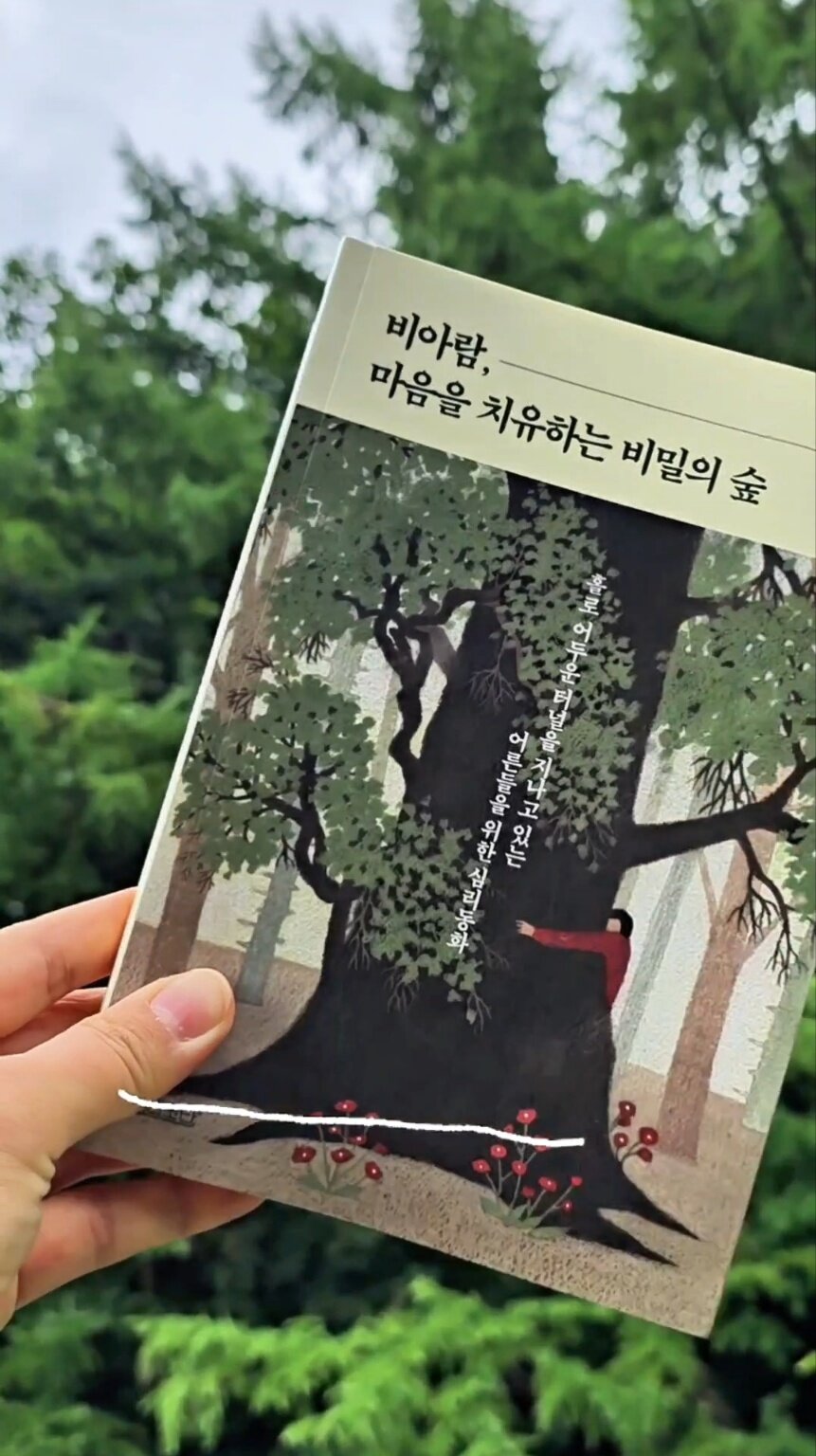 첨부된 사진