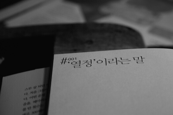 대표사진
