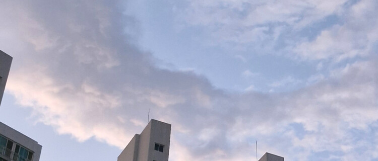 대표사진