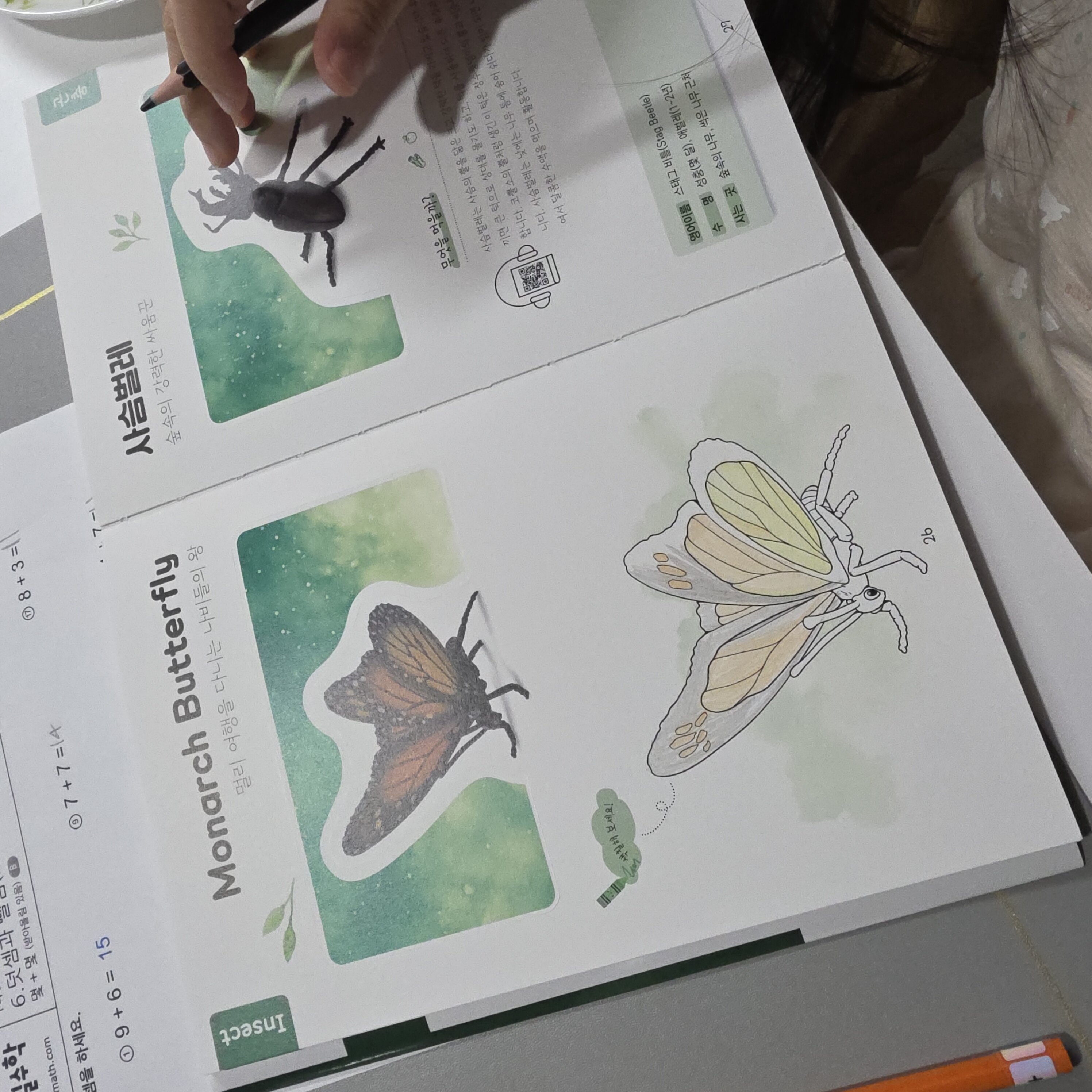 첨부된 사진