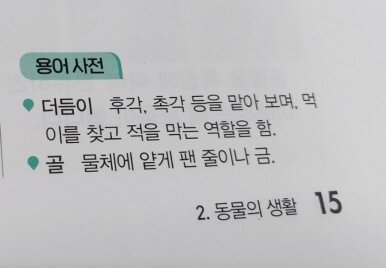 첨부된 사진