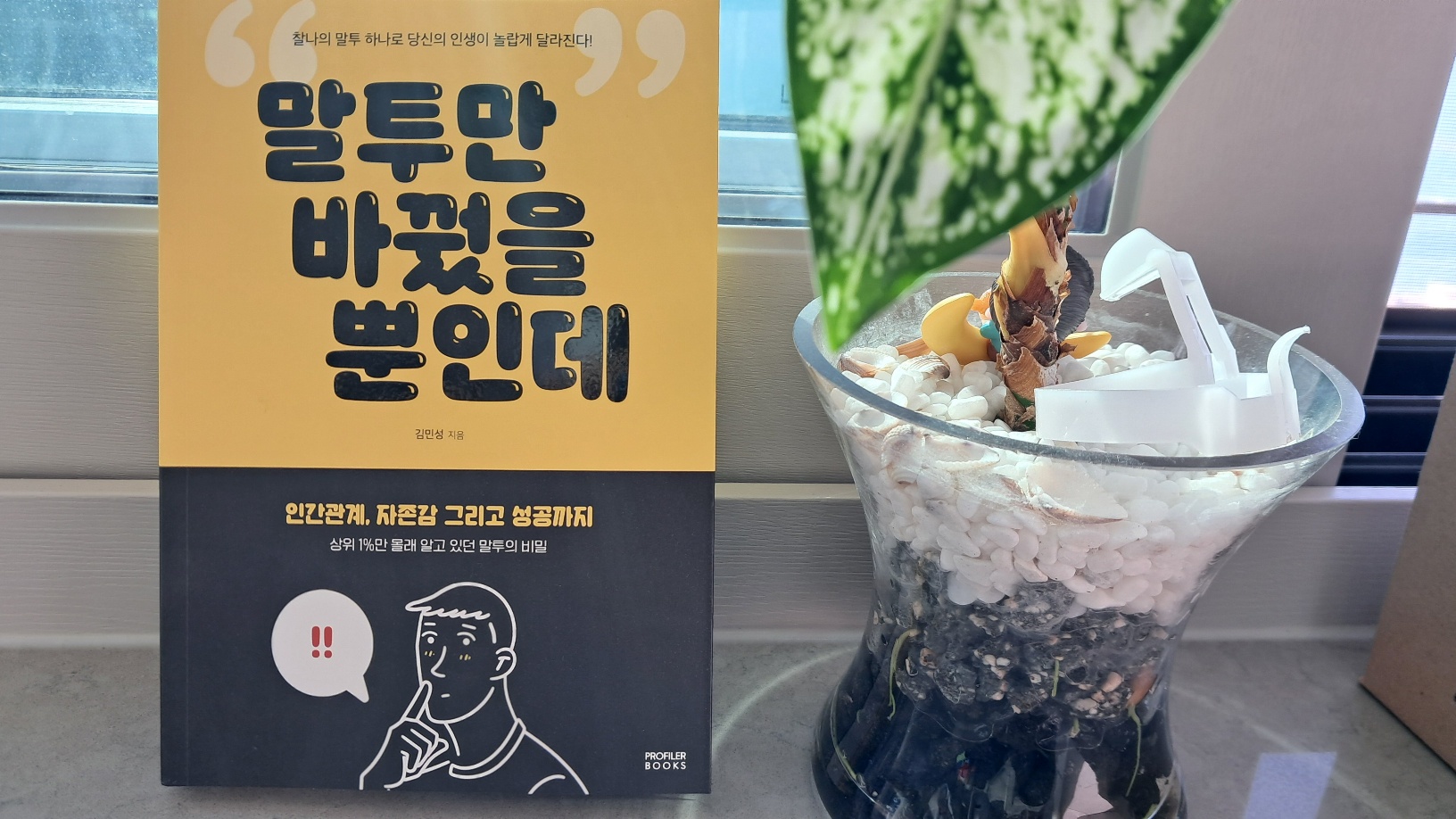 첨부된 사진