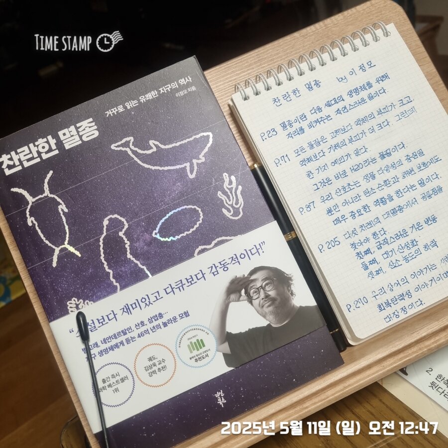 컨텐츠 이미지