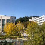 대표사진