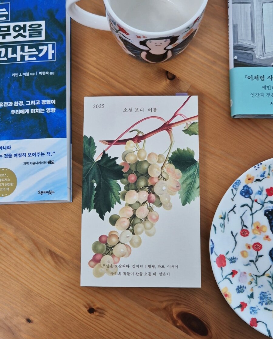첨부된 사진