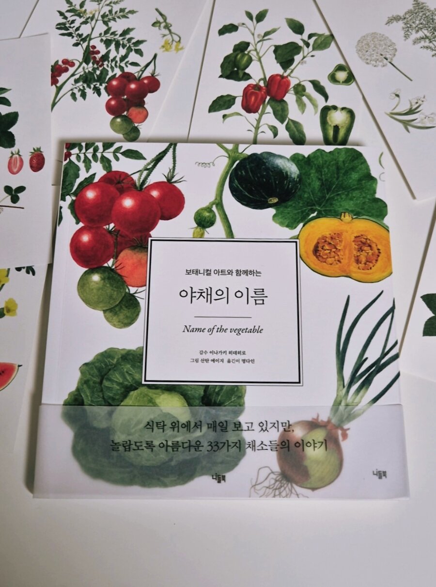 첨부된 사진
