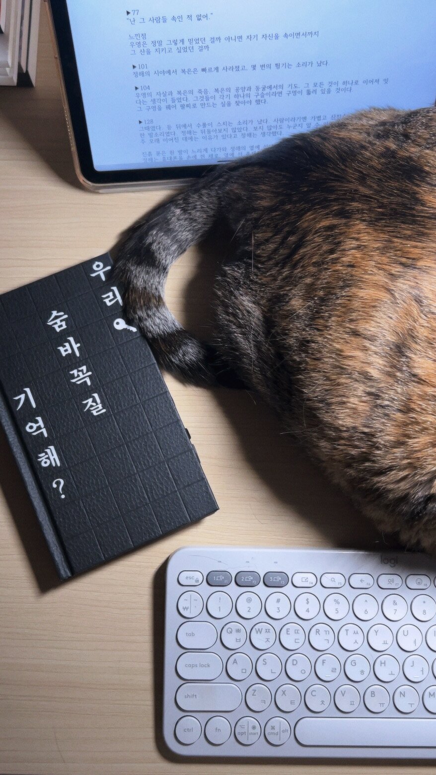 첨부된 사진