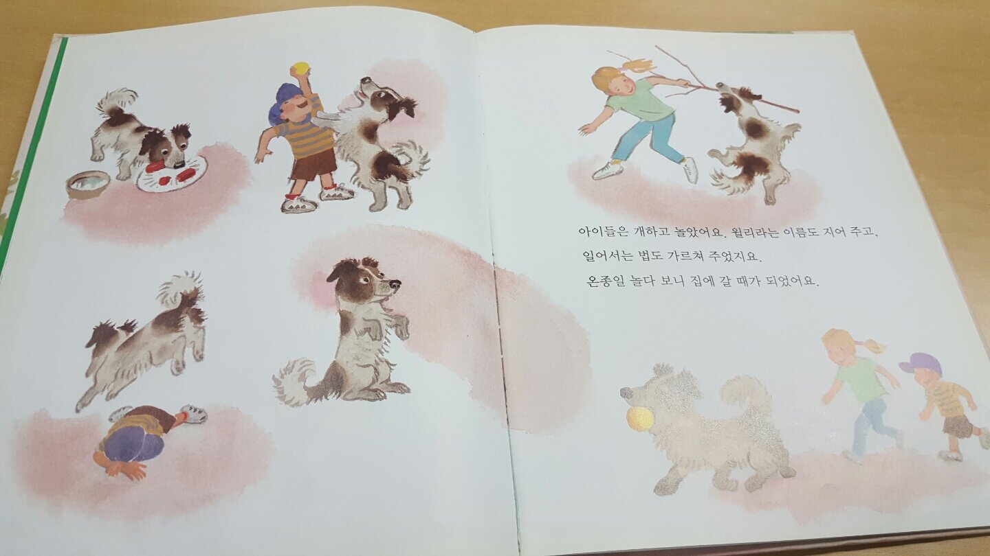 첨부된 사진