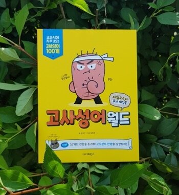 첨부된 사진