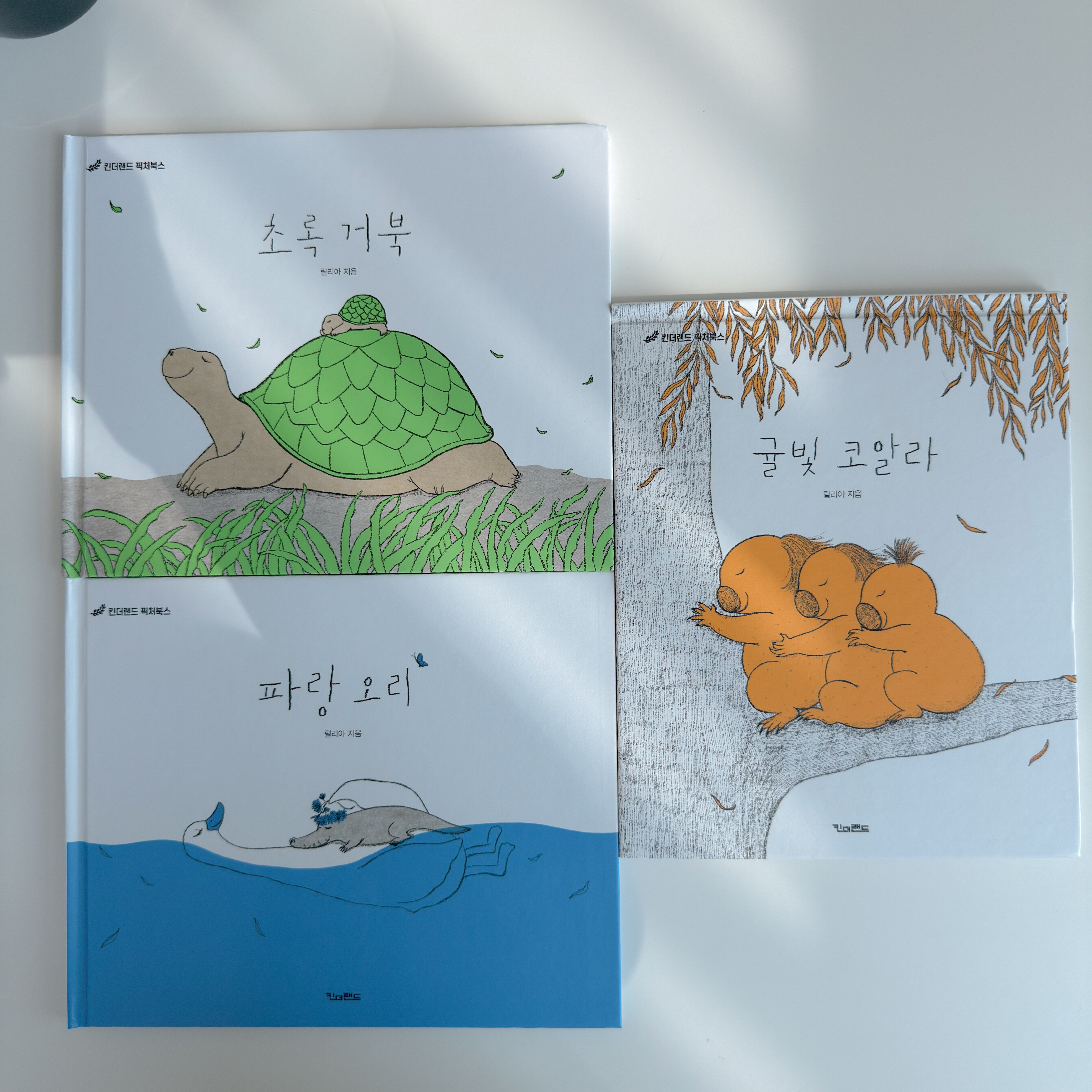 첨부된 사진