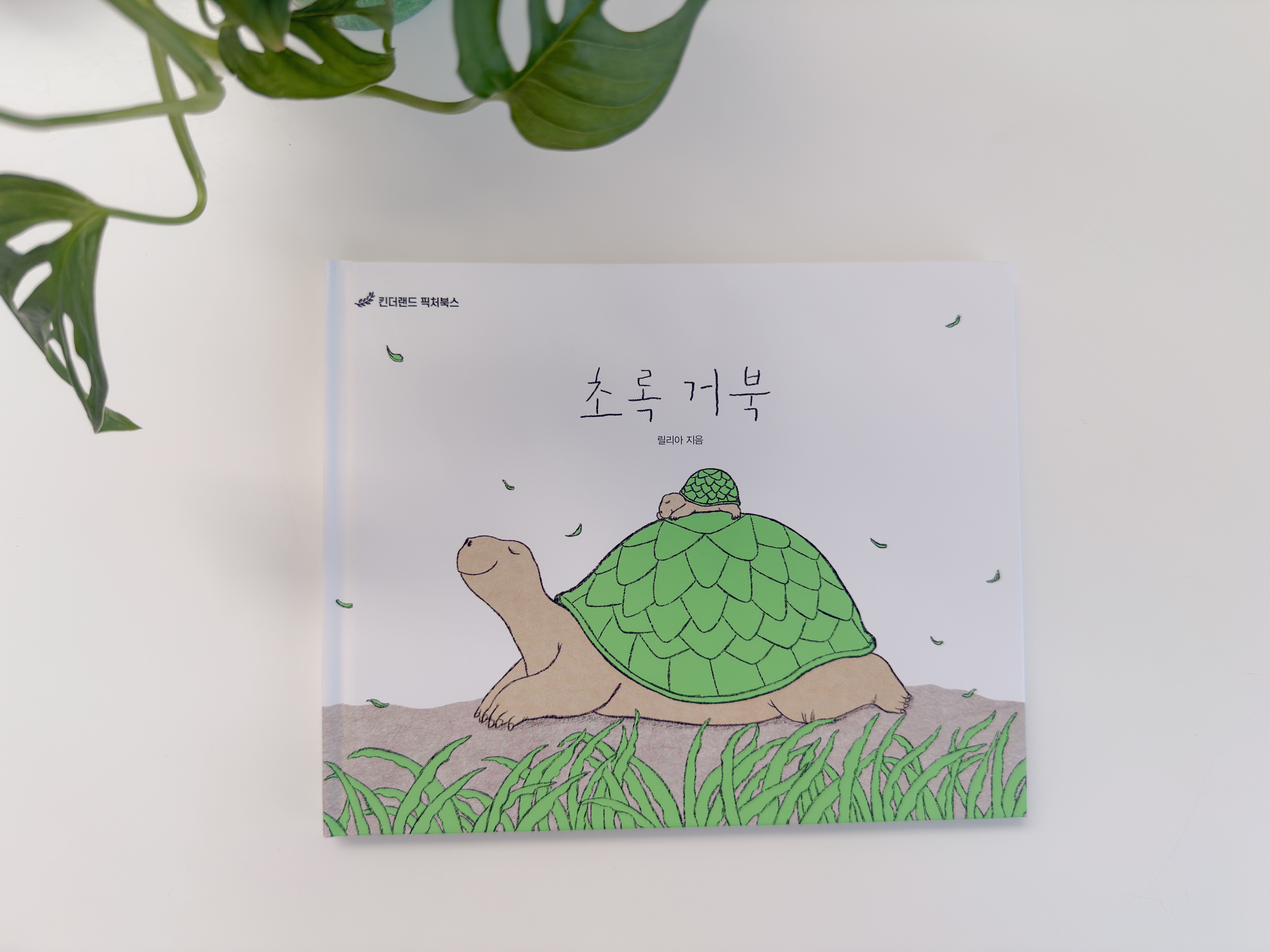 첨부된 사진