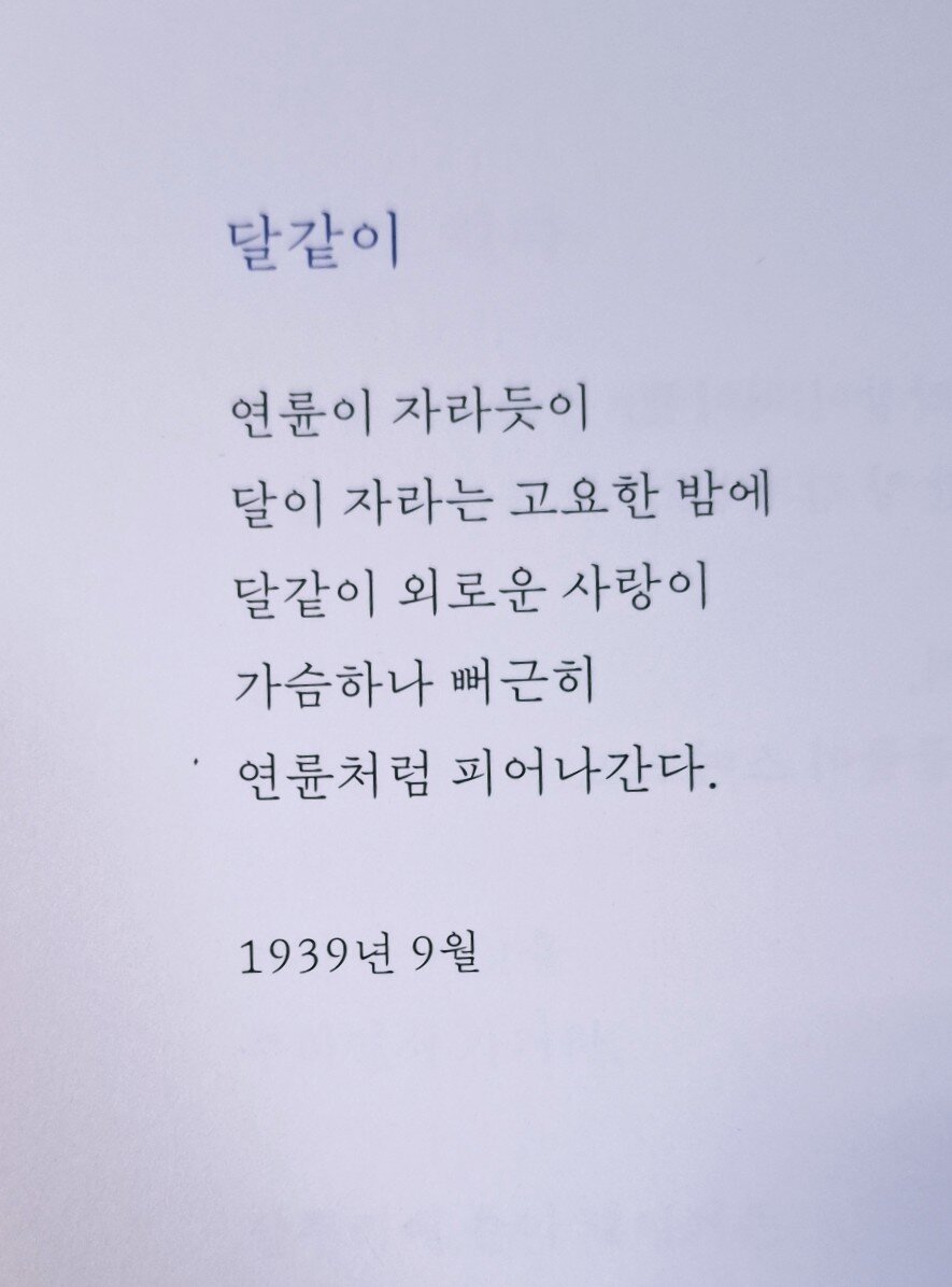 첨부된 사진