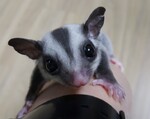 대표사진