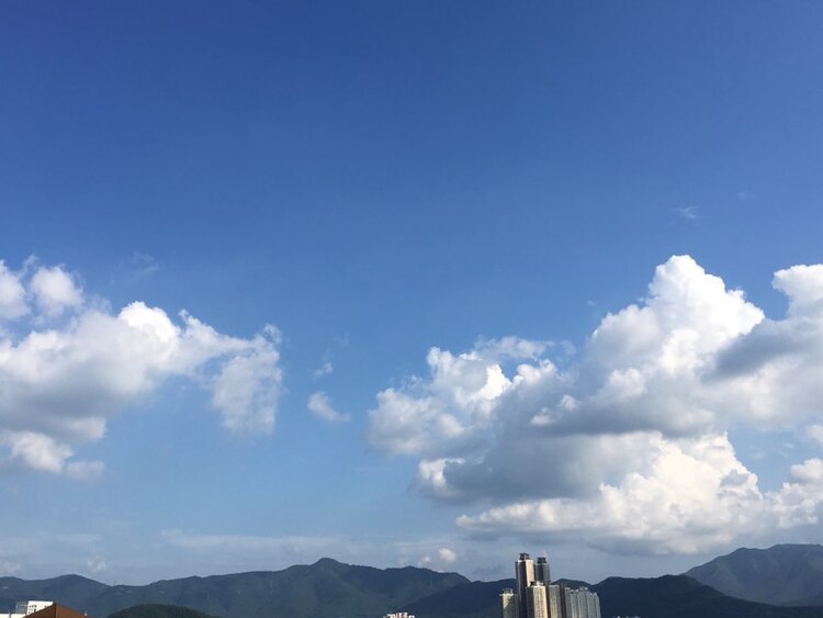 대표사진