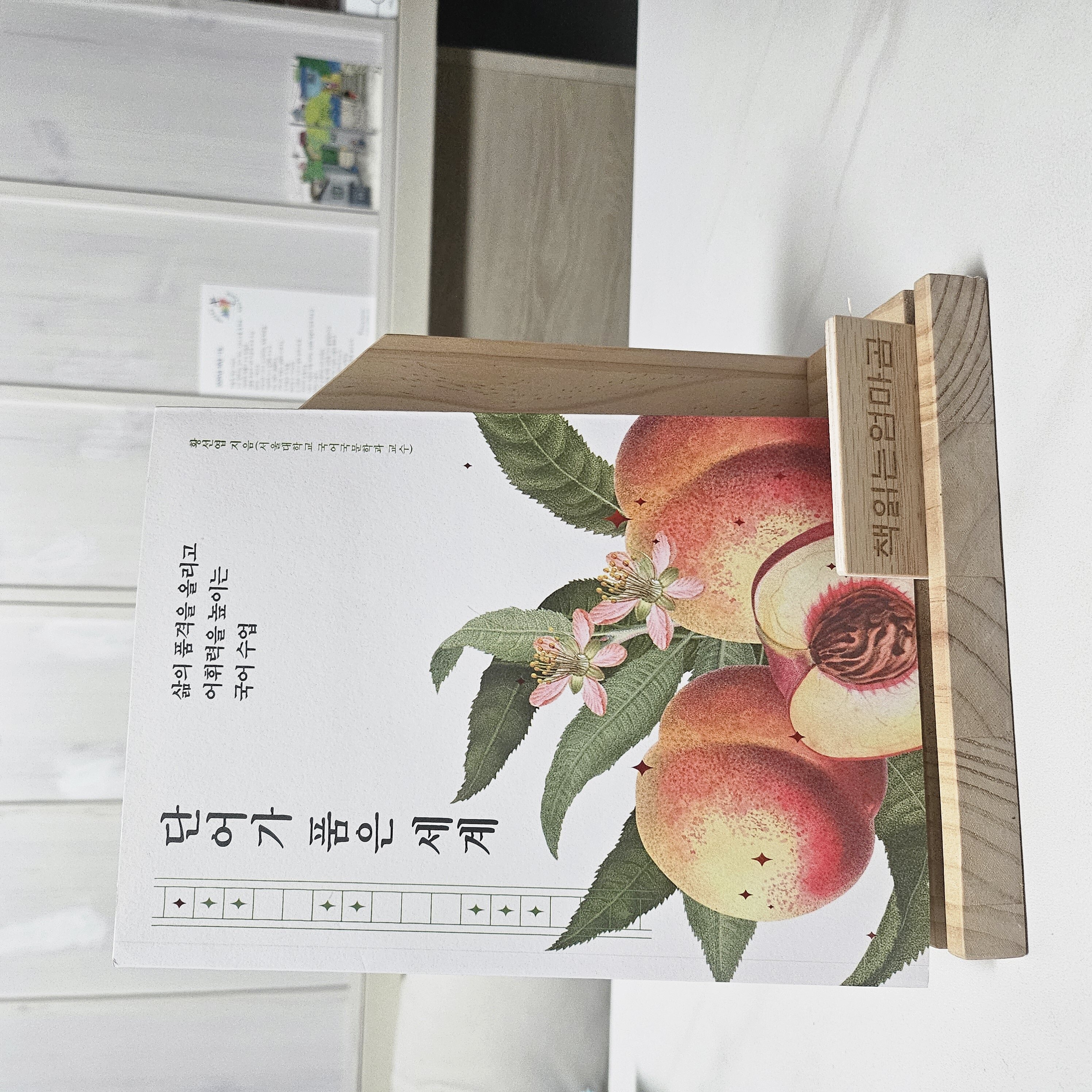 컨텐츠 이미지