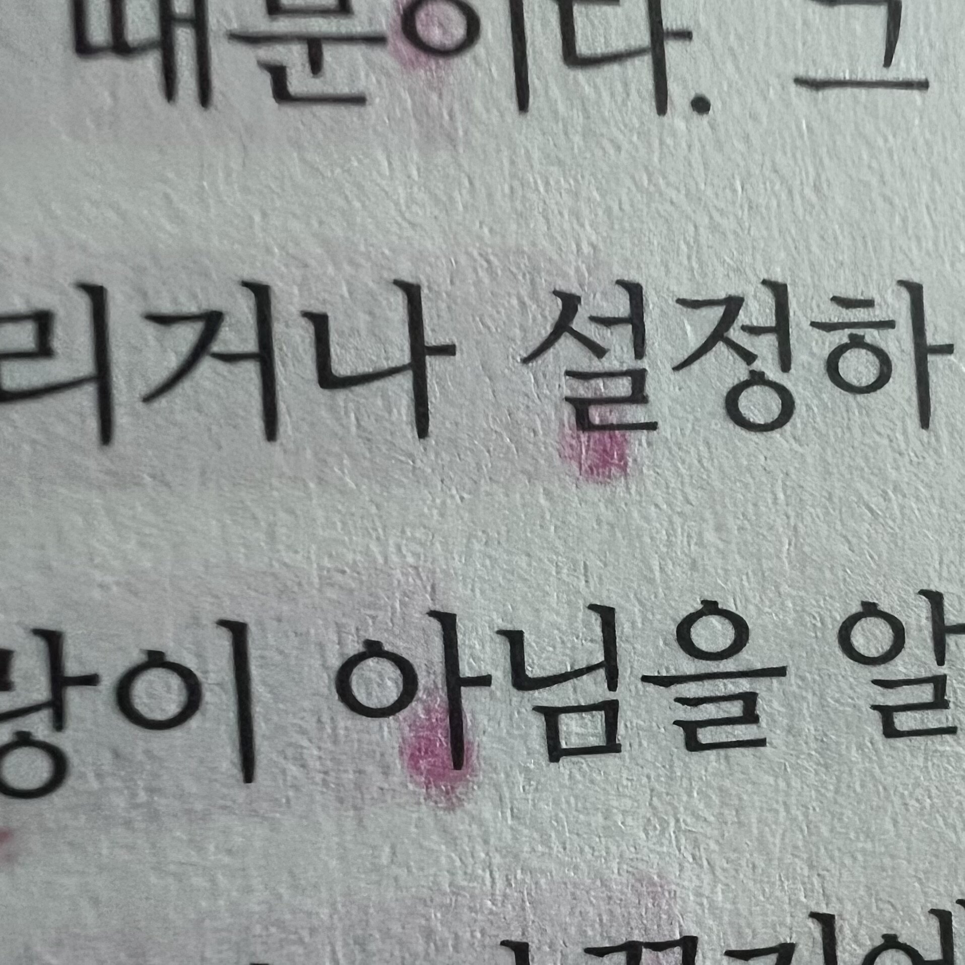 첨부된 사진