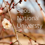대표사진