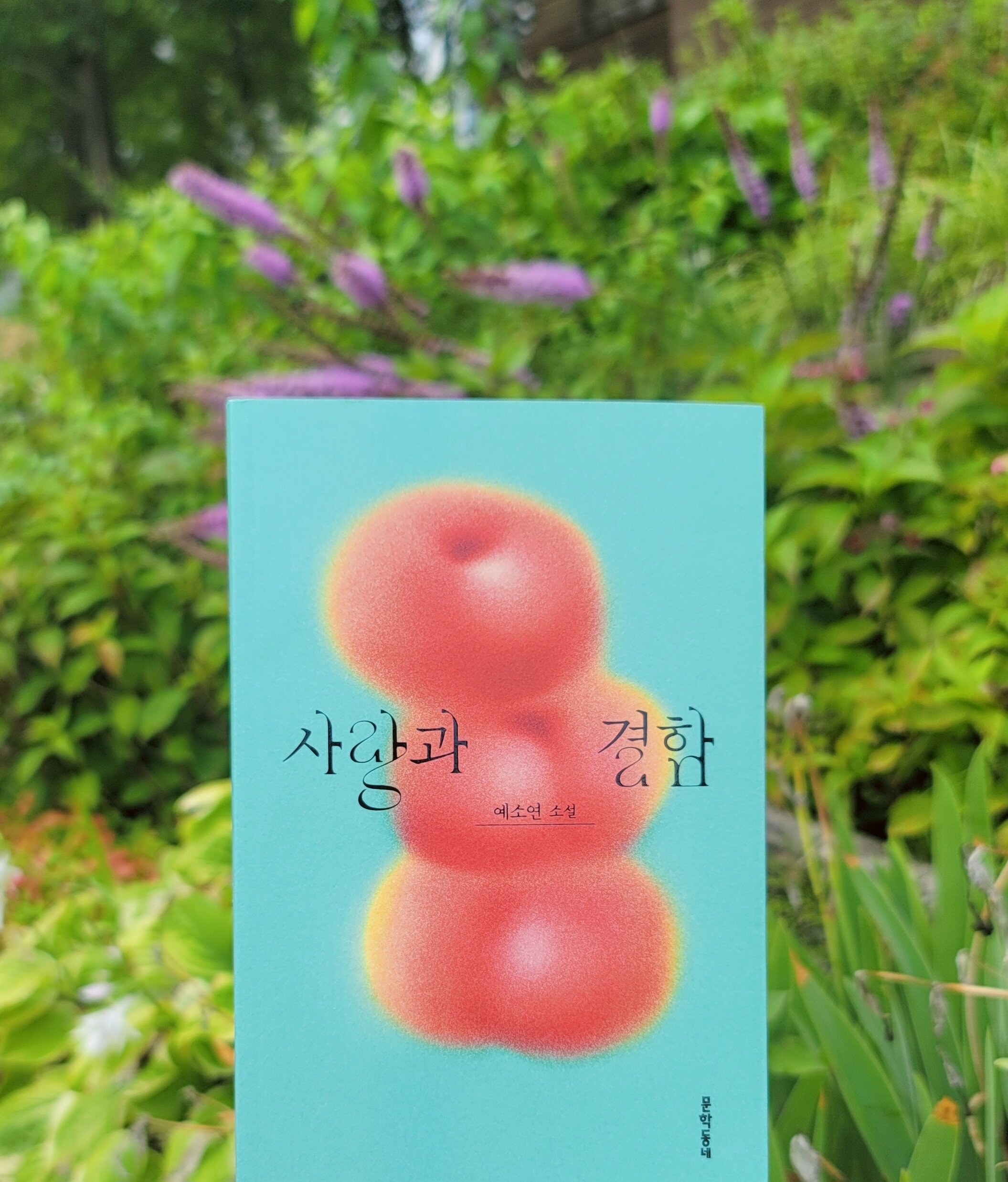 첨부된 사진