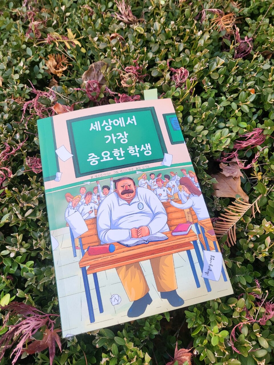첨부된 사진