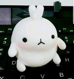 대표사진