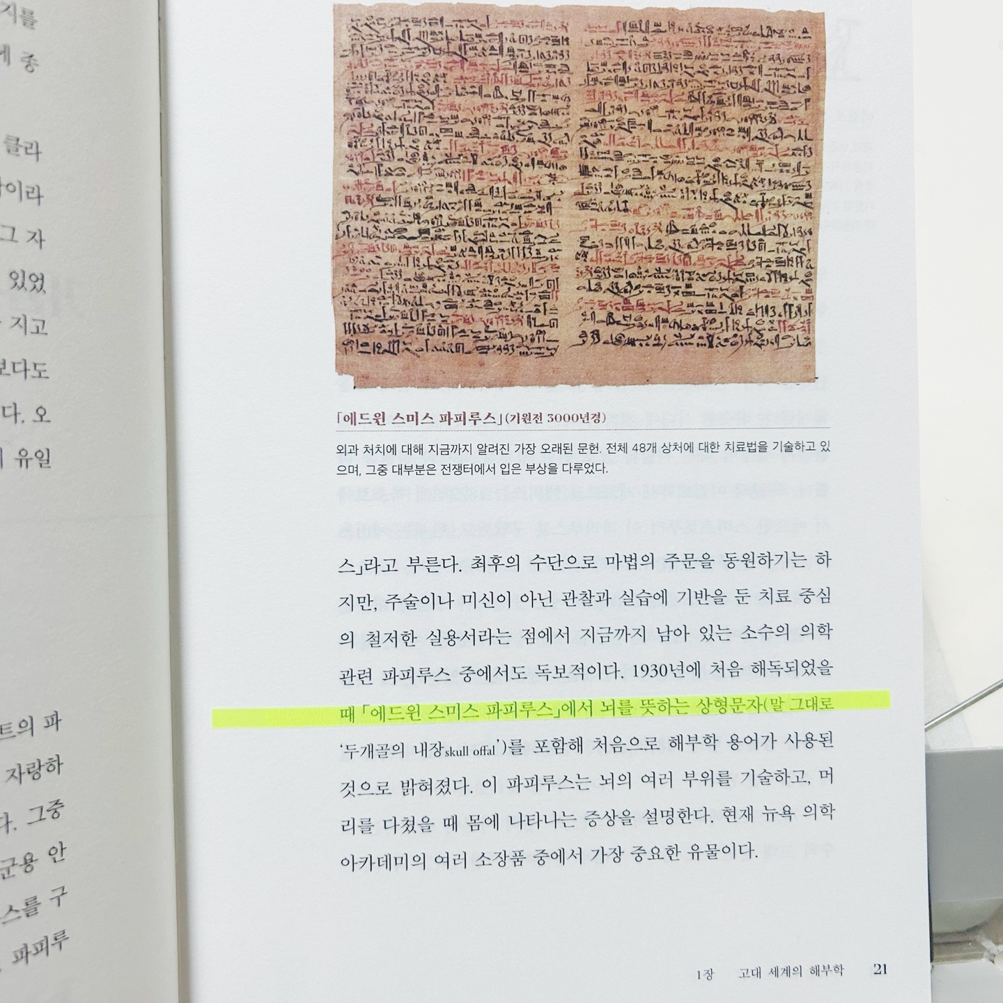 첨부된 사진