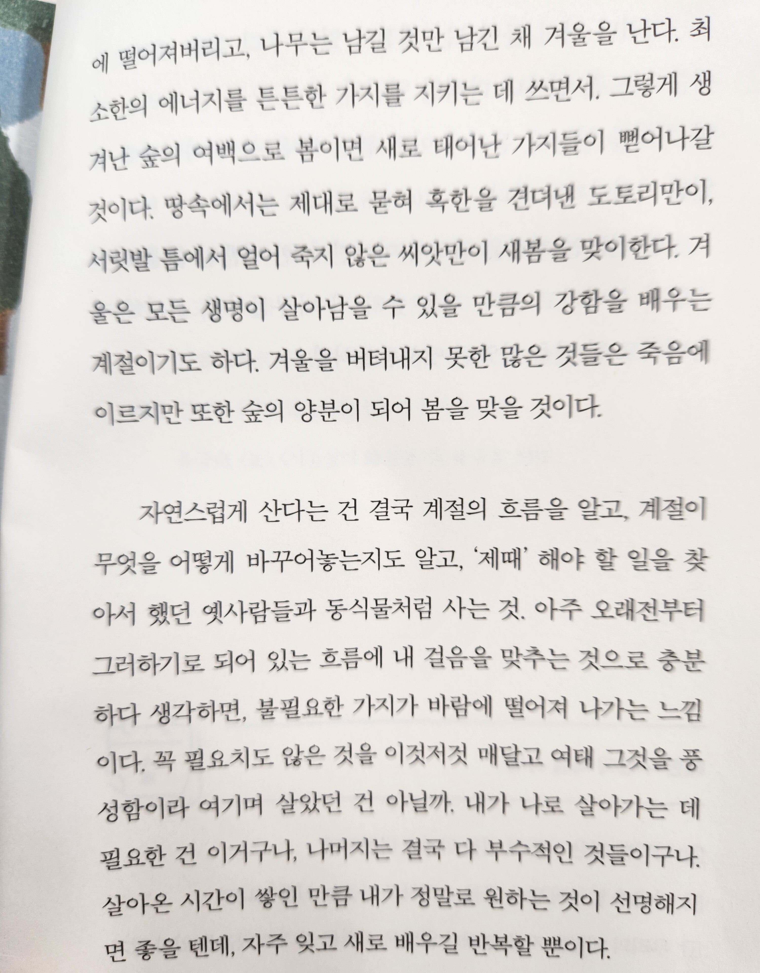 컨텐츠 이미지