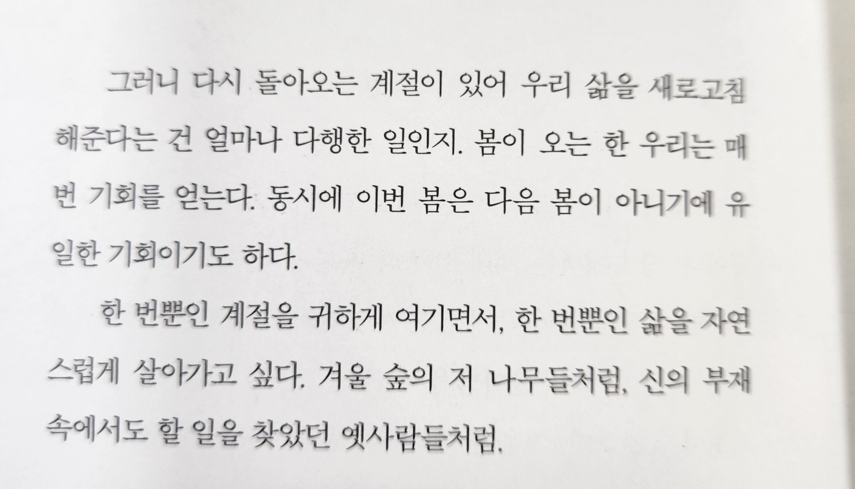 컨텐츠 이미지
