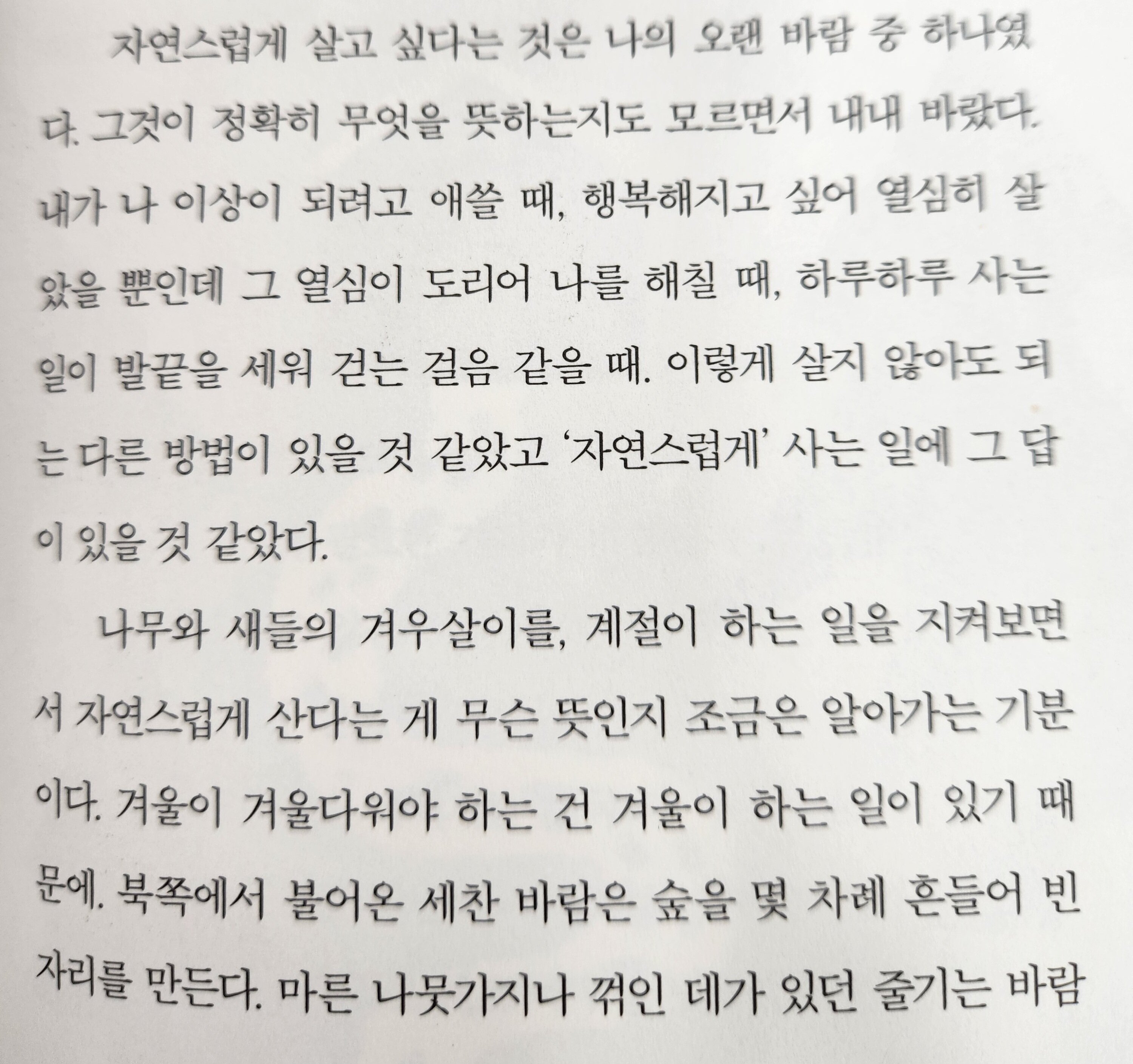 컨텐츠 이미지